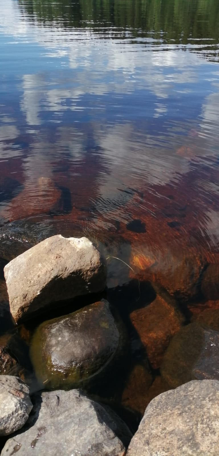 Kia Vainikaisen kuvassa kivikkoinen, tyyni rantavesi.