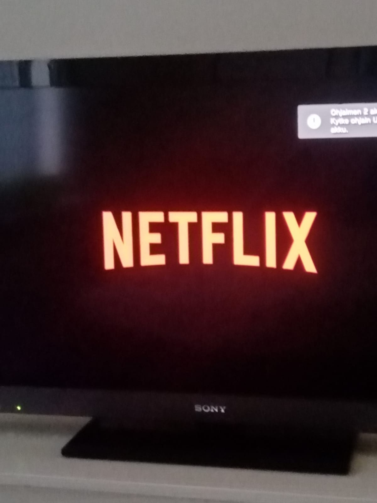 Jenni Nissisen kuvassa televisio, jossa Netflixin logo.