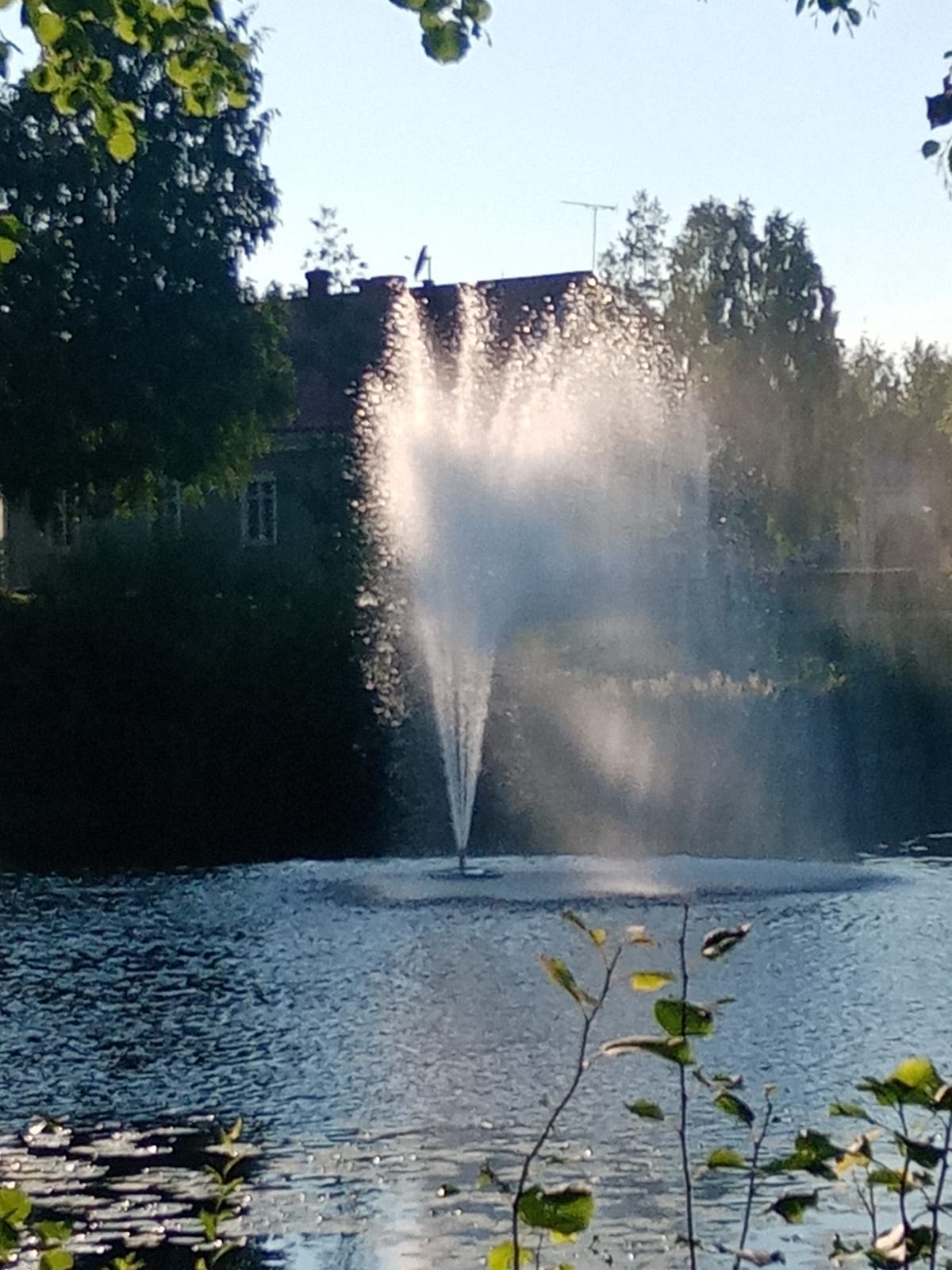 Jenni Nissisen kuvassa lampi, jonka keskellä suihkulähde.