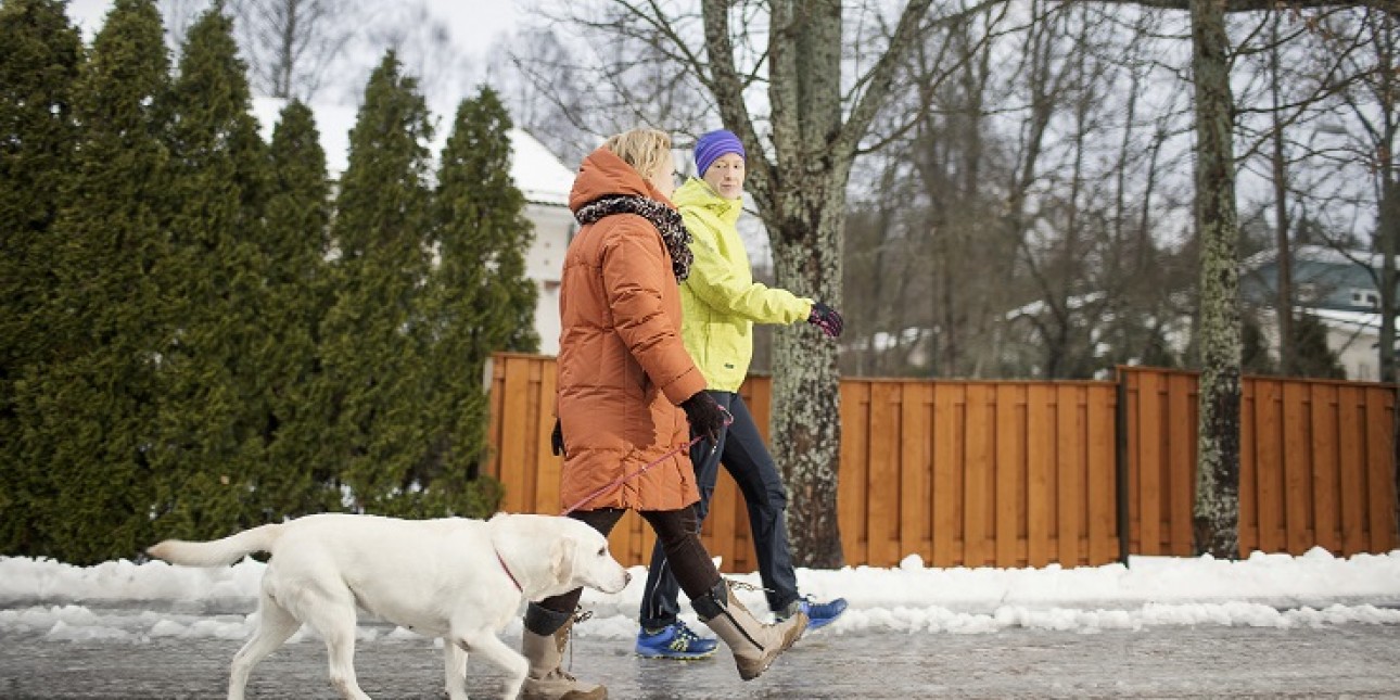 Mies ja nainen talvivaatteissa kävelevät liukkaalla tiellä koiran kanssa