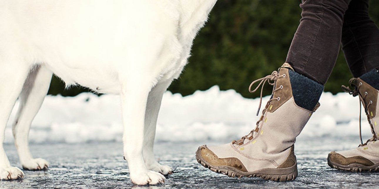 Jäisellä tiellä valkoisen labradorinnoutajan alaosa ja ihmisen saappaat ja housut