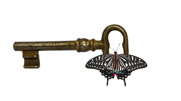 Kuvituskuva: avain ja perhonen.