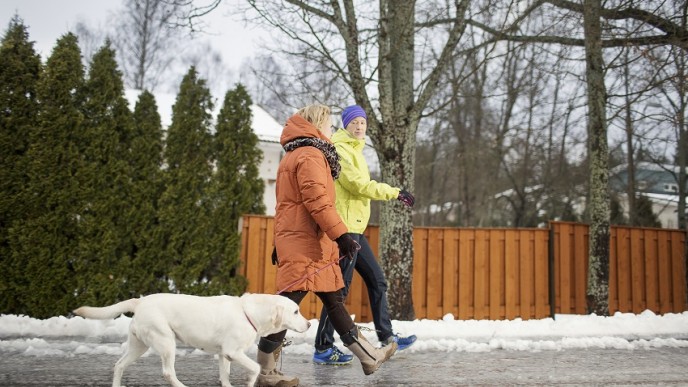 Mies ja nainen talvivaatteissa kävelevät liukkaalla tiellä koiran kanssa